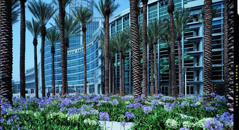 酒店 Springhill Suites By Marriott At Anaheim Resort Area/convention Center