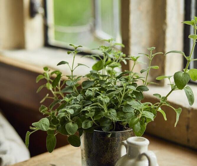 Отель The Slaughters Country Inn