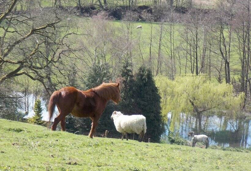 فندق Three Wells B&b