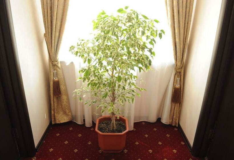 בית מלון כפרי Vlg