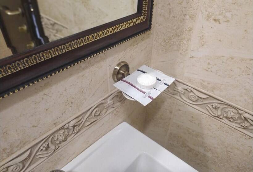 בית מלון כפרי Vlg