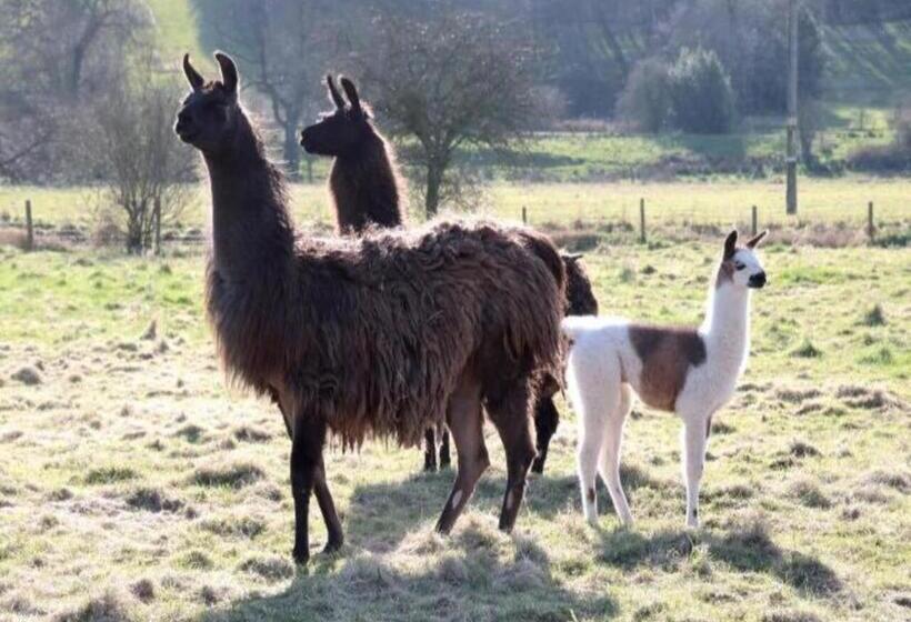 Отель Weston Hall