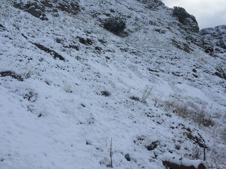 پانسیون Posada El Parral