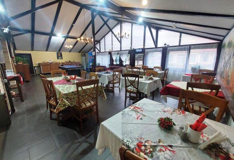 Pensiunea Boema Ploiesti