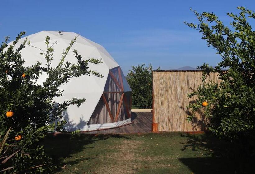 호텔 Mandalin Glamping