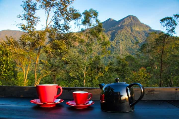 فندق The Backyard Balangoda