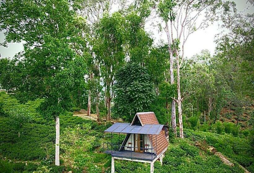 فندق The Backyard Balangoda