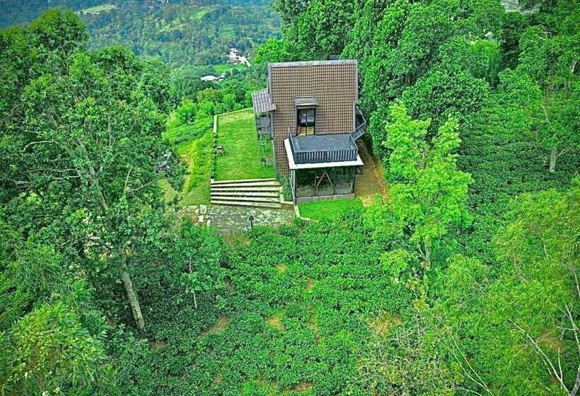 فندق The Backyard Balangoda