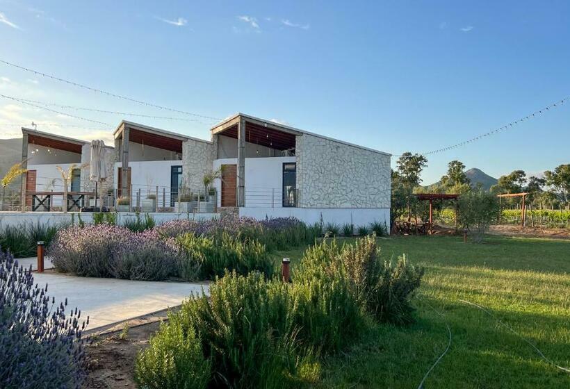 فندق Viñedo Casa La Noria