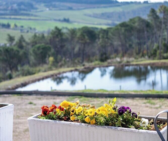 پانسیون Casa Di Palaia
