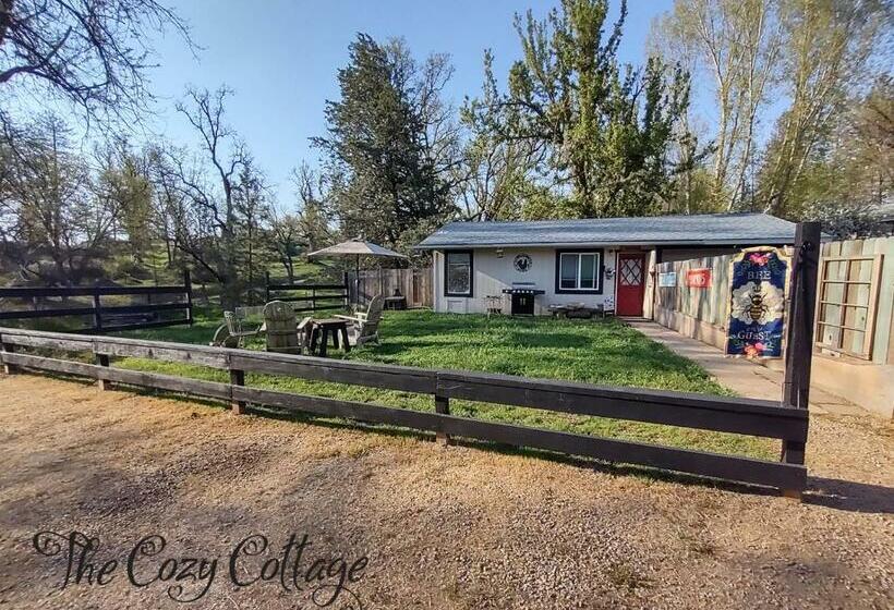 Пансион Cozy Cottage