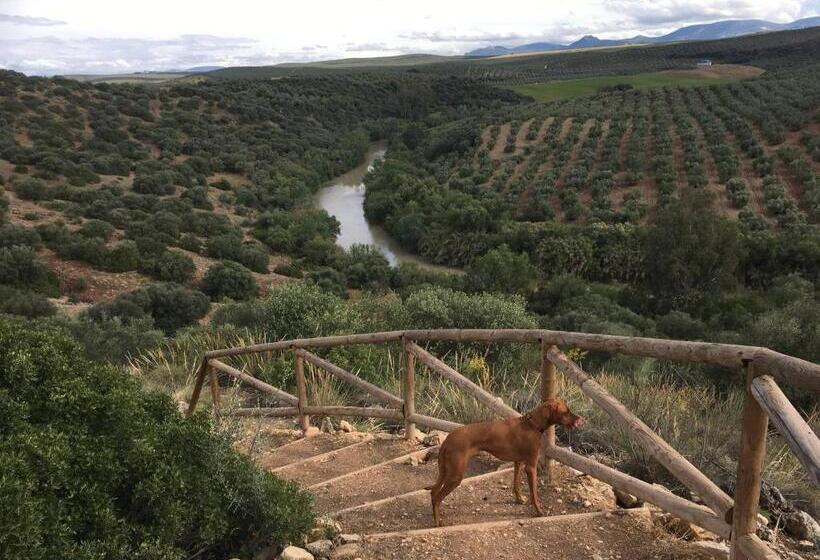 ペンション Room In Villa  Beautiful Accommodation At The Heart Of Andalusia