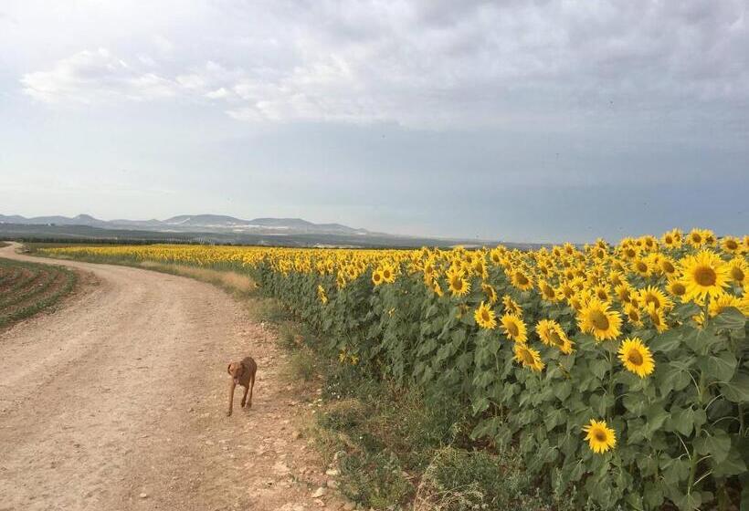 ペンション Room In Villa  Beautiful Accommodation At The Heart Of Andalusia