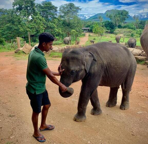Hotel Elepath Lodge  Pinnawala
