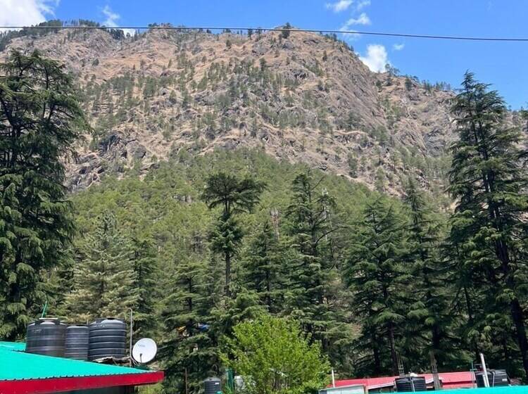 هتل Little Italy Inn