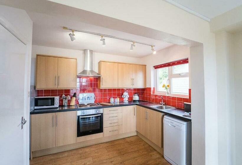 渡假胜地  Amroth Castle Holiday Park