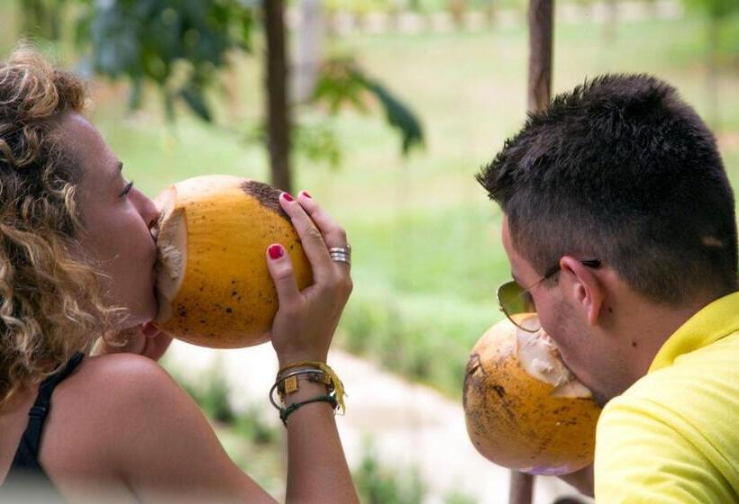 酒店 Raddegoda Walawwa Kurunegala