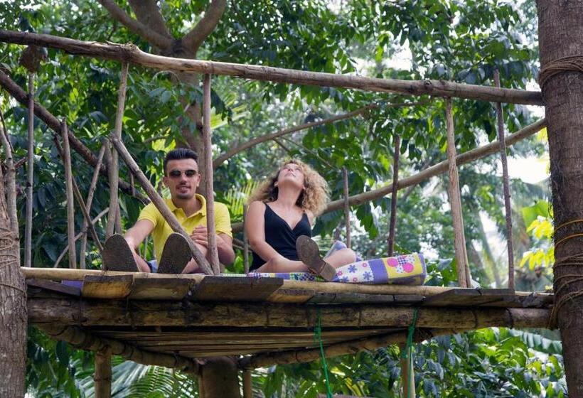 酒店 Raddegoda Walawwa Kurunegala