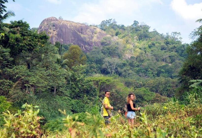 酒店 Raddegoda Walawwa Kurunegala