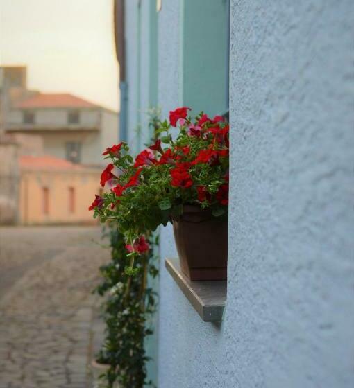 פנסיון A Su Mulinu   Locazione Turistica