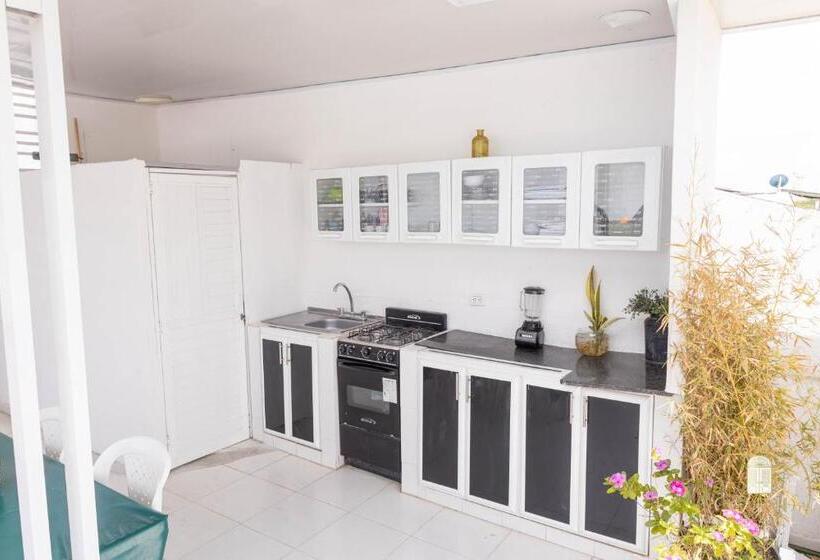 פנסיון Hostal Casa Dandy