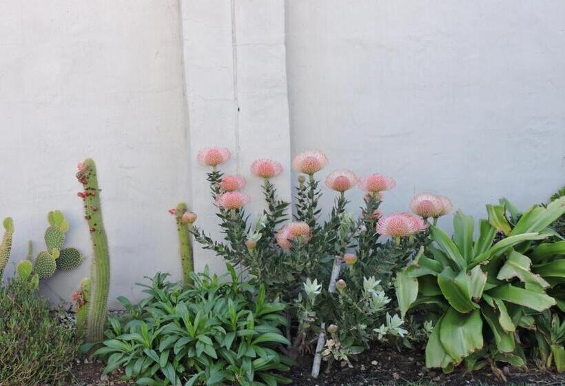 پانسیون Droom Verlore