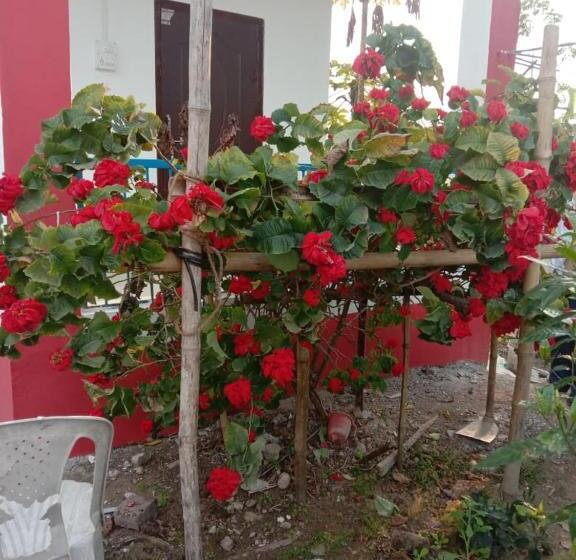 بنسيون Subansiri Lodge