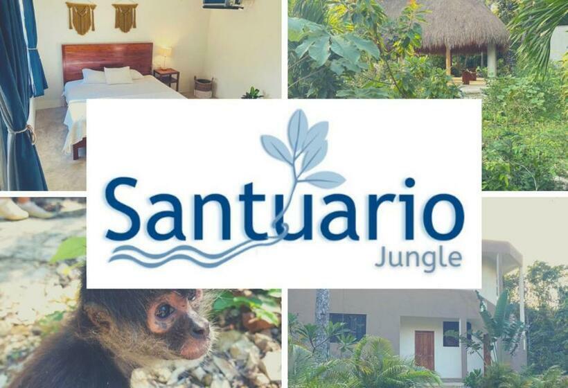 Santuario Jungle