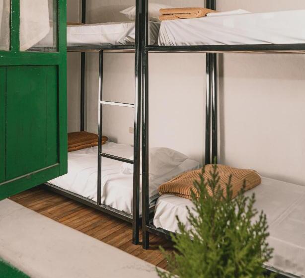 Wild Monkey Hostel