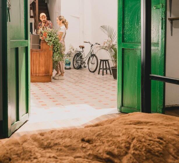 Wild Monkey Hostel