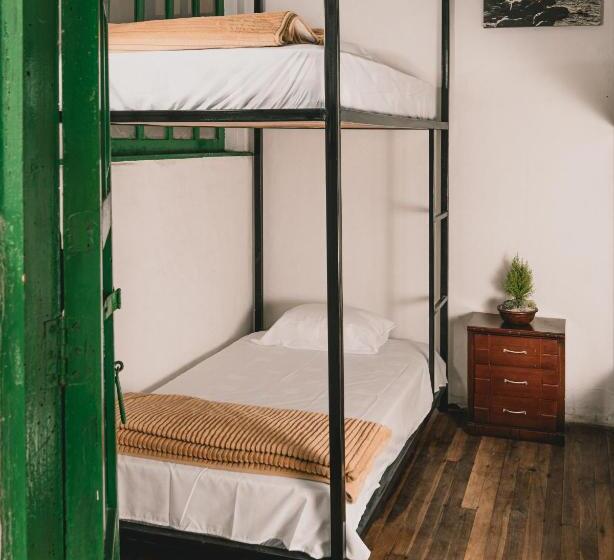 Wild Monkey Hostel