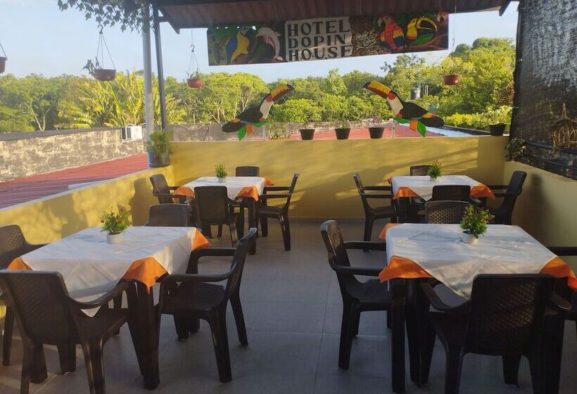 בית מלון כפרי Dopin House