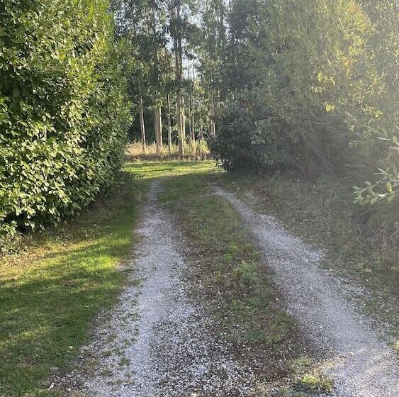 膳宿费 Happy Hill