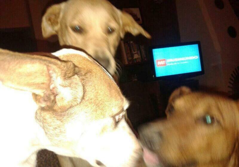 پانسیون La Estancia Hostel