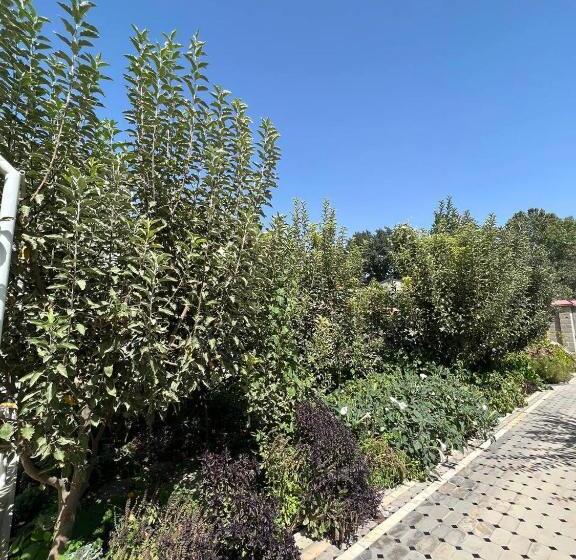 פנסיון Stariy Marokand