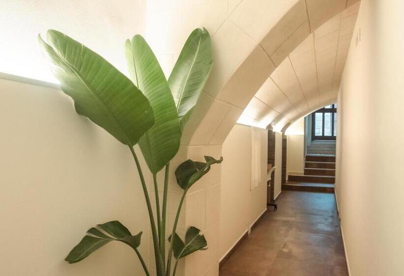 住宿加早餐  Little House