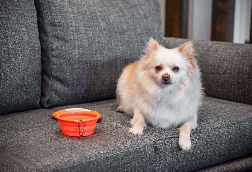 酒店 Hyatt Place Newark Silicon Valley