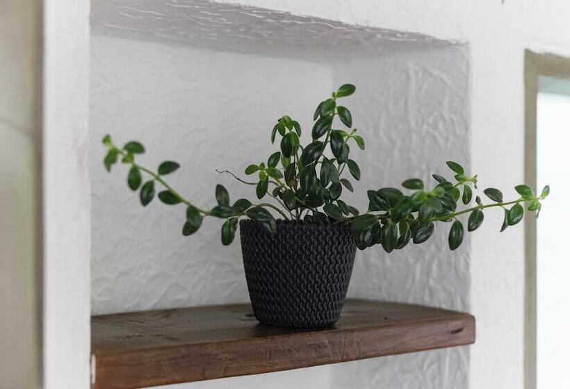 ホテル Chalet La Sofia By Majuva