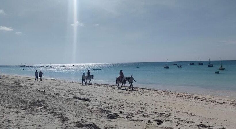 هتل Mambo Boutique Nungwi