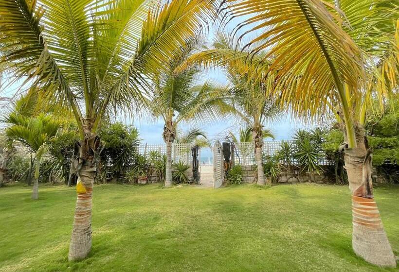 פנסיון La Casa De Pitty