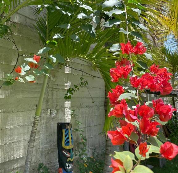 פנסיון La Casa De Pitty