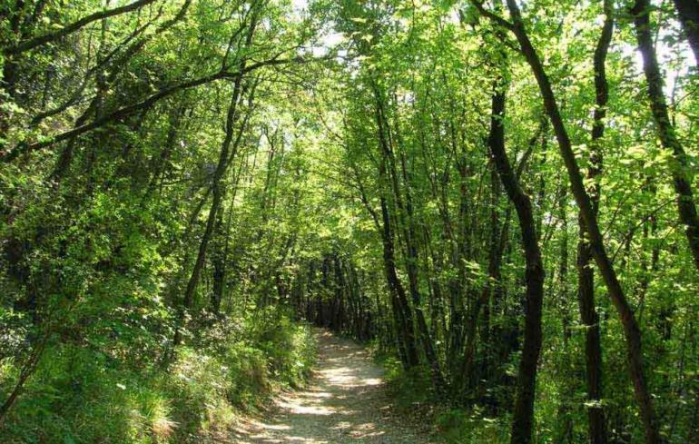 Пансион Villa Gialla