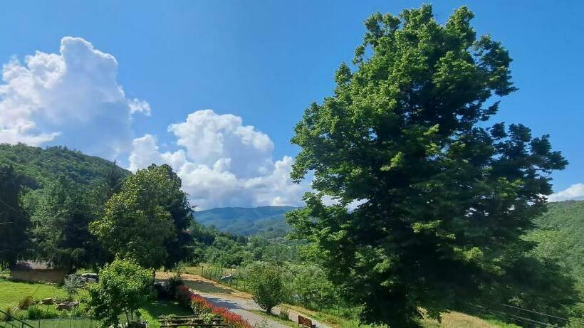 مبيت وإفطار Canapali