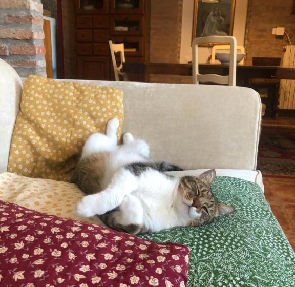 住宿加早餐 Casa Matilde