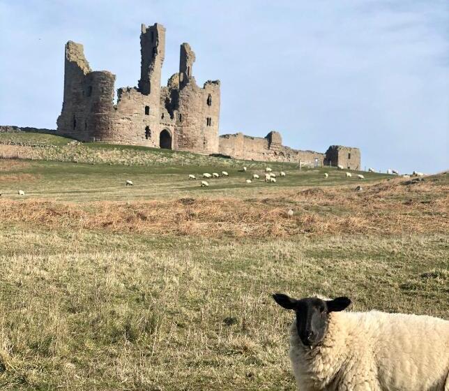 مبيت وإفطار Crastercarr