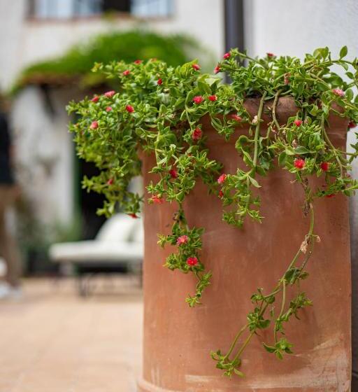 مبيت وإفطار Radici Dimora Natura Cultura