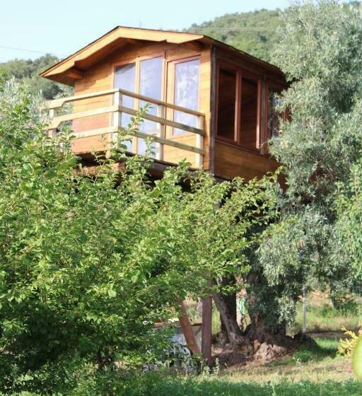 Bed and Breakfast The Treehouse Casa Sull Albero Al Golden Camp