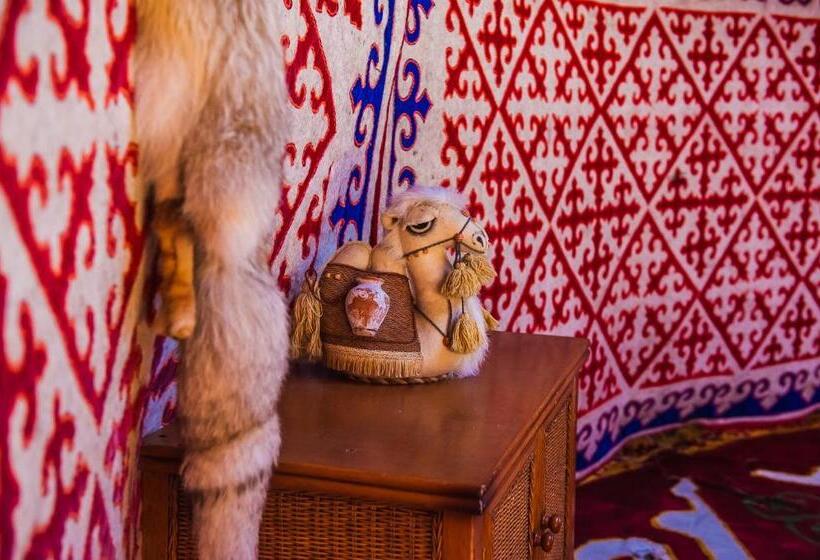 هتل Balqaragai Forest Family Resorts