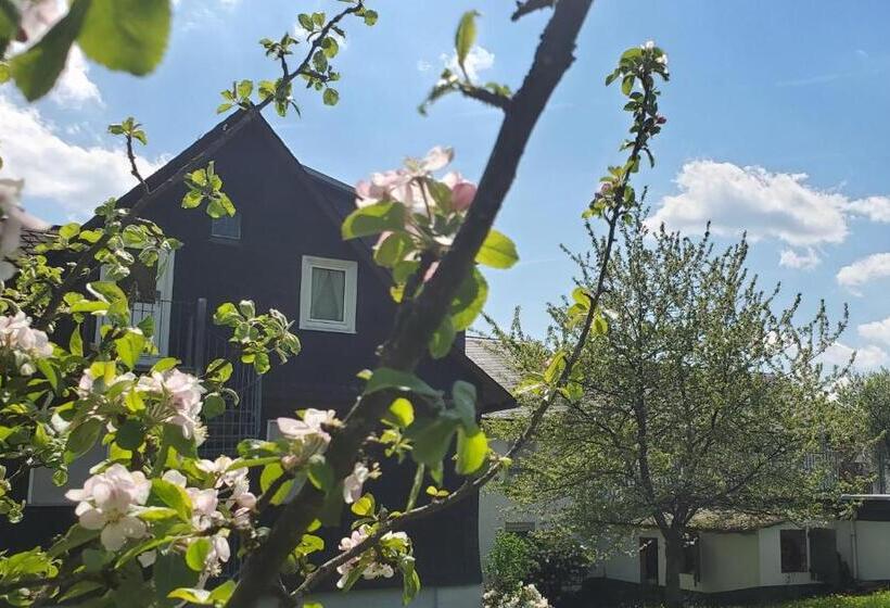 酒店 Landgasthof Steuber