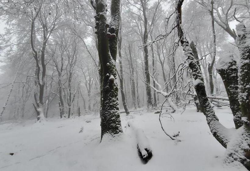 酒店 Landgasthof Steuber